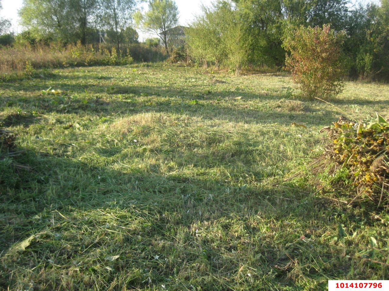 Фото №4: Личное подсобное хозяйство 9.9&nbsp;сот. - СНТ Урожайное, мкр. Прикубанский внутригородской округ, ул. Алычёвая, 3