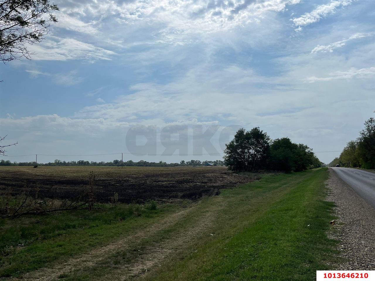 Фото №1: Коммерческая земля 488 сот. - Краснодарский край Динской район