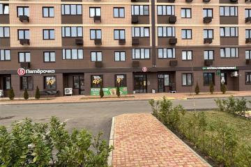 Фото №1: Торговое помещение 40&nbsp;м², 1/9&nbsp;эт. - Краснодар, мкр. жилой комплекс Новые Сезоны, ул. Скандинавская, 1к13