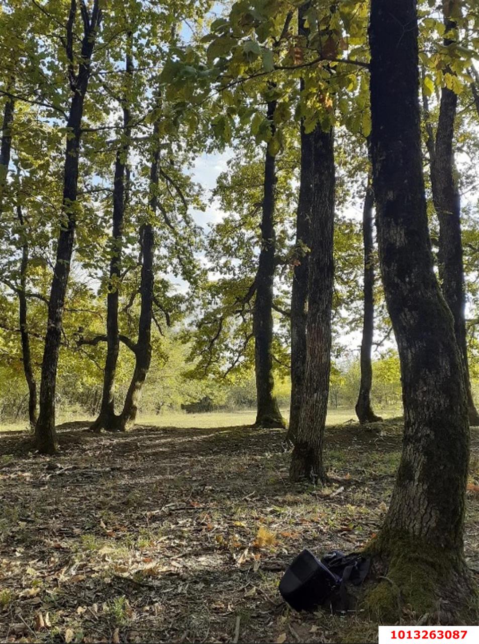 Фото №8: Личное подсобное хозяйство 44 сот. - Азовская, 