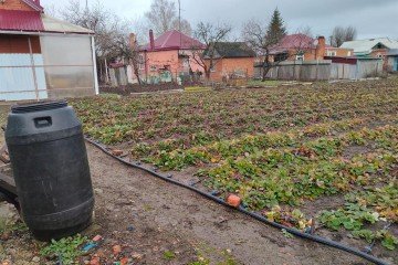 Фото №4: Земельный участок под ИЖС 24 сот. - Кореновск, мкр. 1-й квартал, ул. Октябрьская, 31