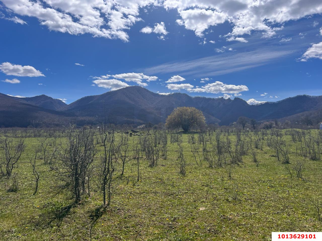 Фото №10: Коммерческая земля 9.2&nbsp;сот. - Даховская, ул. Советская, 20