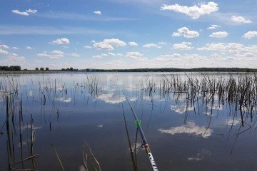 Фото №3: Личное подсобное хозяйство 56 сот. - Пригибский, 