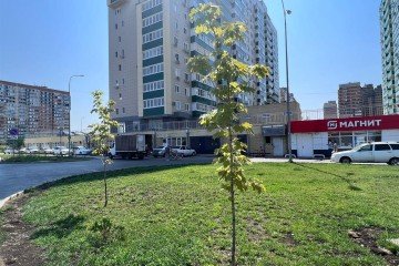 Фото №4: Торговое помещение 290 м² - Краснодар, мкр. Гидростроителей, ул. Трудовой Славы