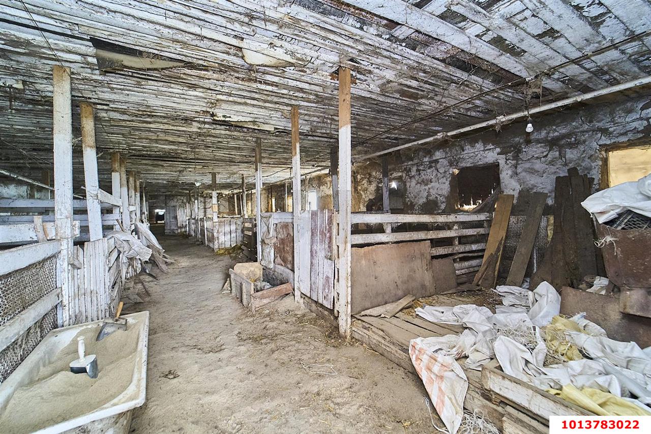 Фото №8: Производственное помещение 1354&nbsp;м², 1/1&nbsp;эт. - Медвёдовская, ул. Пушкина, 23