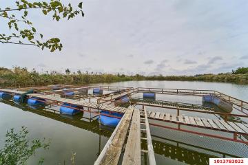 Фото №1: Производственное помещение 1354 м², 1/1 эт. - Медвёдовская, ул. Пушкина, 23
