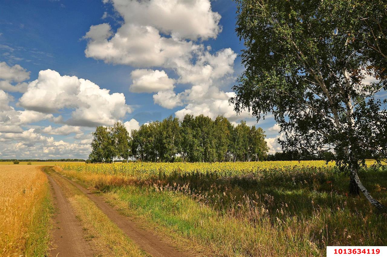 Фото №2: Коммерческая земля 24900 сот. - Республика Адыгея (Адыгея) Теучежский район