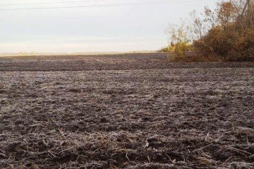 Фото №2: Коммерческая земля 200 сот. - Краснодар, мкр. Карасунский внутригородской округ, 