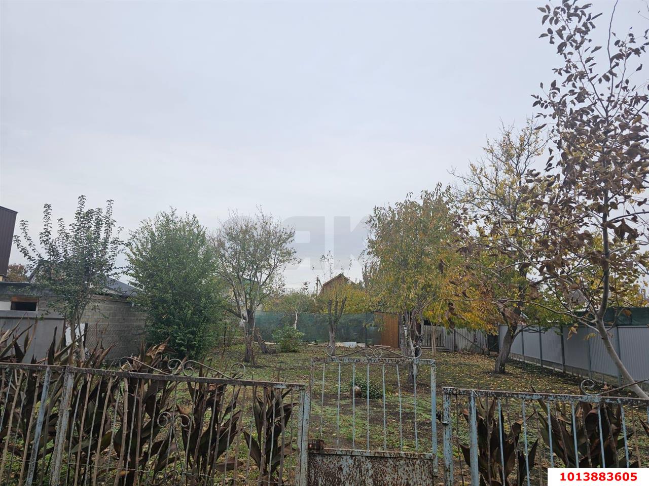 Фото №5: Дом 27 м² + 4 сот. - Мечта, Карасунский внутригородской округ, ул. Алых Роз, 312