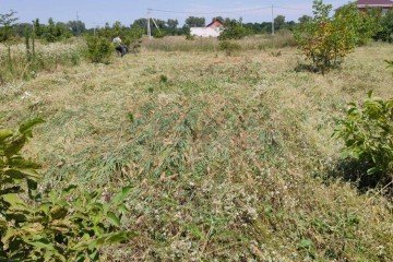 Фото №2: Земельный участок под ИЖС 8 сот. - Лазурный, мкр. Прикубанский внутригородской округ, пр-кт Лазурный, 68