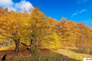 Фото №4: Дом 79 м² - Смоленская, ул. Есенина, 63