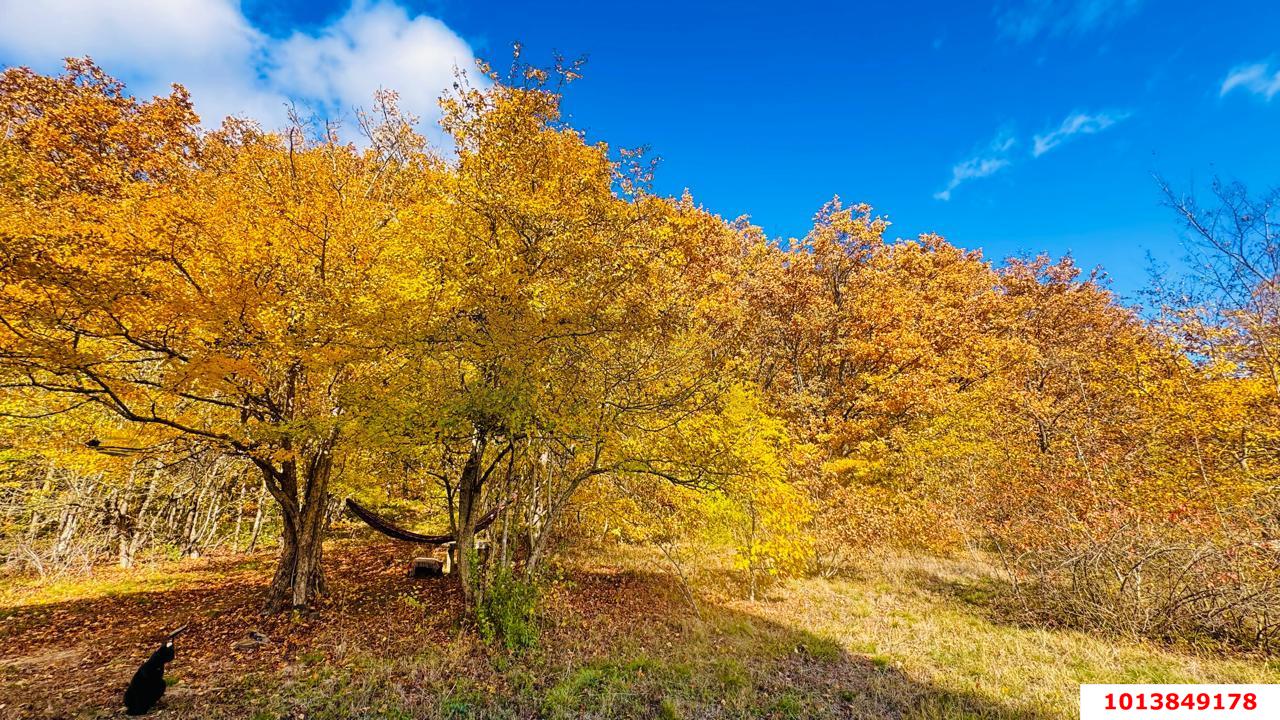 Фото №4: Дом 79 м² + 16.3 сот. - Смоленская, ул. Есенина, 63