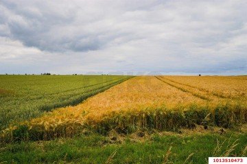 Фото №1: Коммерческая земля 7 сот. - Краснодар, мкр. Прикубанский внутригородской округ, ул. имени Лаперуза