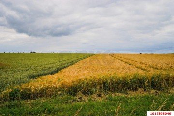 Фото №3: Земельный участок под ИЖС 6.12 сот. - Краснодар, мкр. Прикубанский внутригородской округ, ул. имени Лаперуза