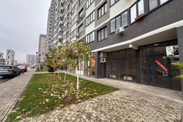 Фото №3: Торговое помещение 43 м² - Краснодар, мкр. жилой комплекс Дружный, б-р Адмиралтейский, 3к3