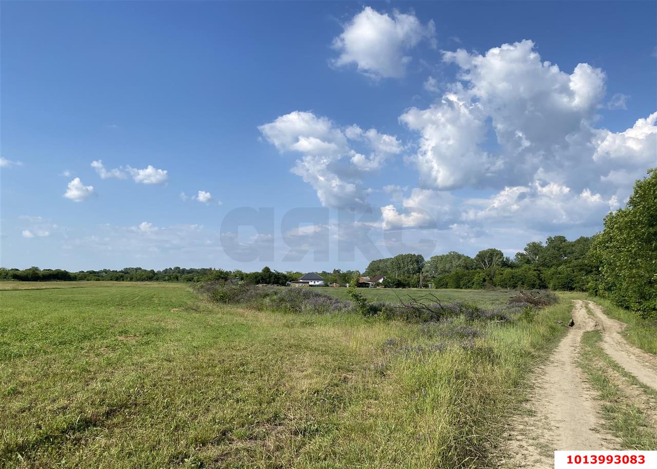 Фото №6: Коммерческая земля 318 сот. - Суздальская, пер. Западный, 2