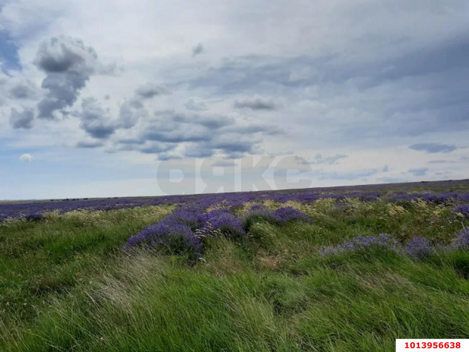 Фото №2: Коммерческая земля 794 сот. - Луговое, ул. Луговская