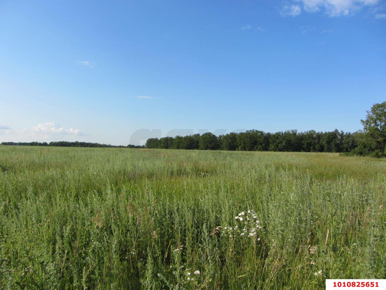 Фото №2: Коммерческая земля 39 сот. - Старокорсунская, Карасунский внутригородской округ, 