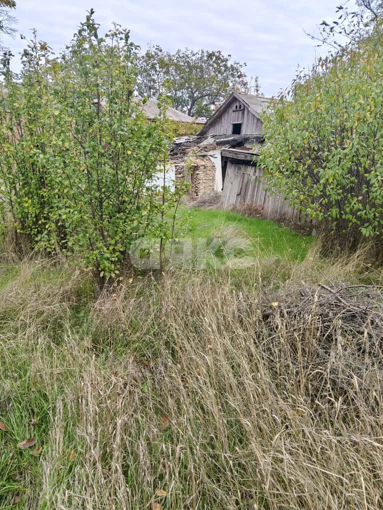 Фото №5: Земельный участок под ИЖС 22&nbsp;сот. - Весёло-Вознесенка, ул. Советская, 80