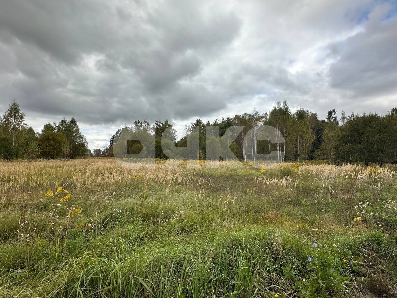 Фото №3: Земельный участок под ИЖС 25&nbsp;сот. - Алёшня, мкр. Привокзальный территориальный округ, ул. Луговая