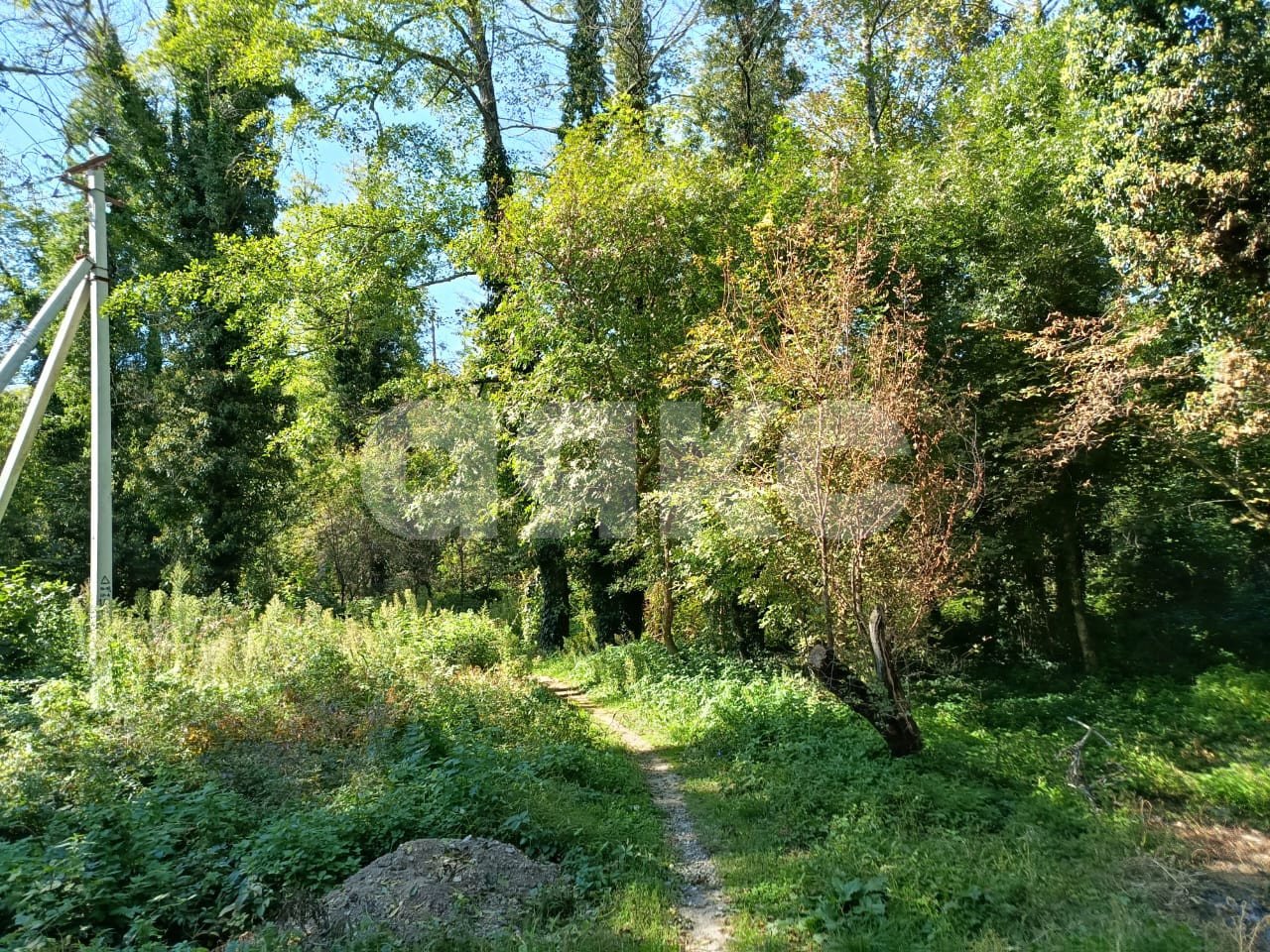 Фото №7: Личное подсобное хозяйство 8&nbsp;сот. - Береговое, ул. Подгорная, 3