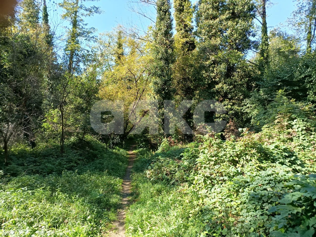 Фото №8: Личное подсобное хозяйство 8&nbsp;сот. - Береговое, ул. Подгорная, 3