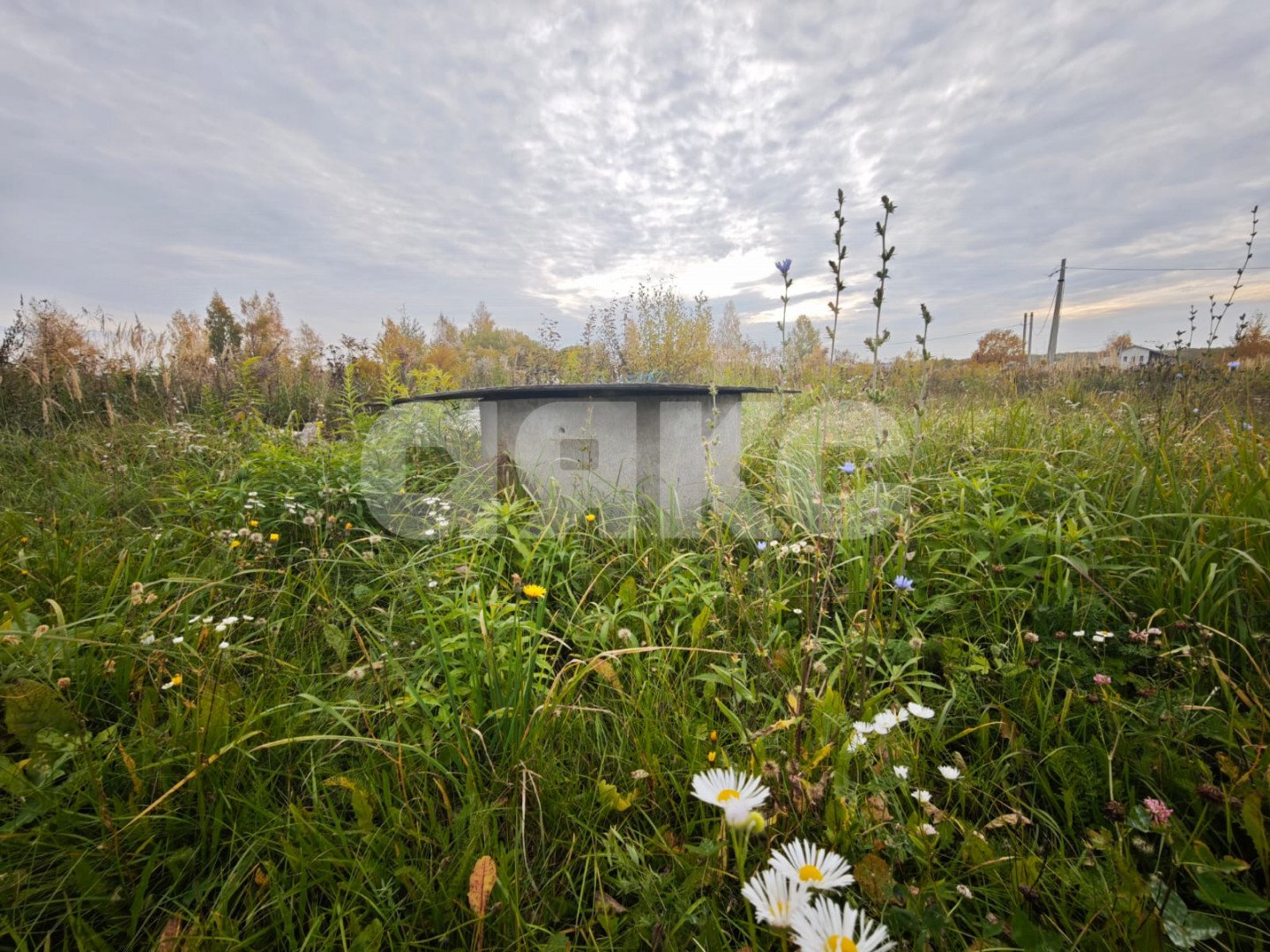 Фото №5: Земельный участок под ИЖС 20&nbsp;сот. - Самохваловка