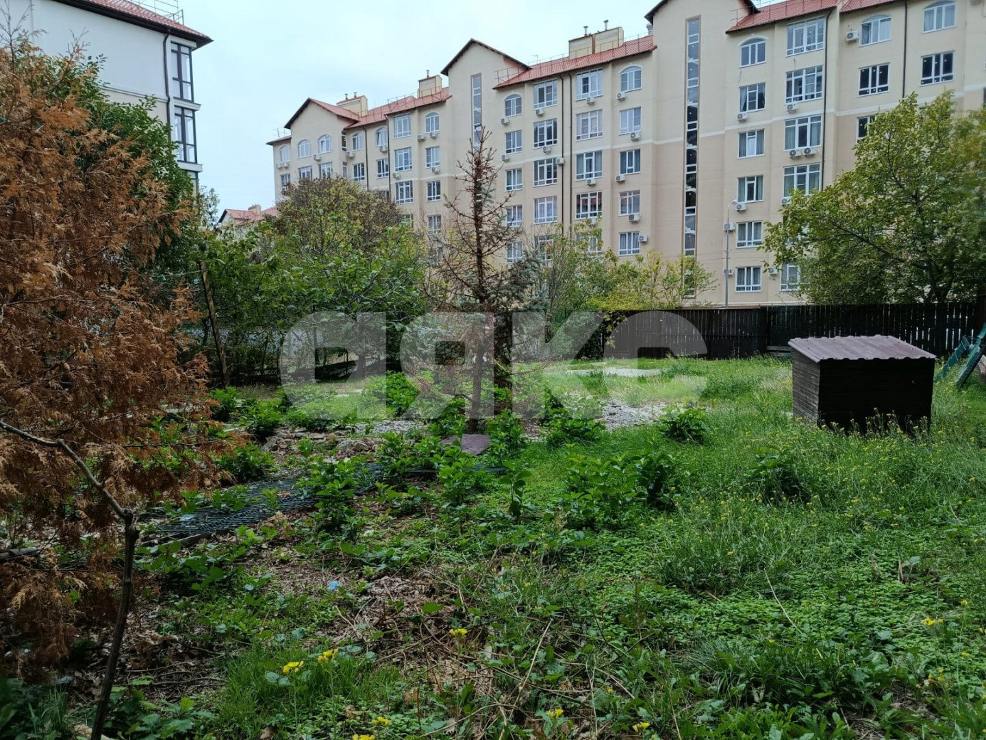 Фото №7: Дом 71&nbsp;м² + 5.63&nbsp;сот., 1&nbsp;эт. - Геленджик, пер. Больничный, 13