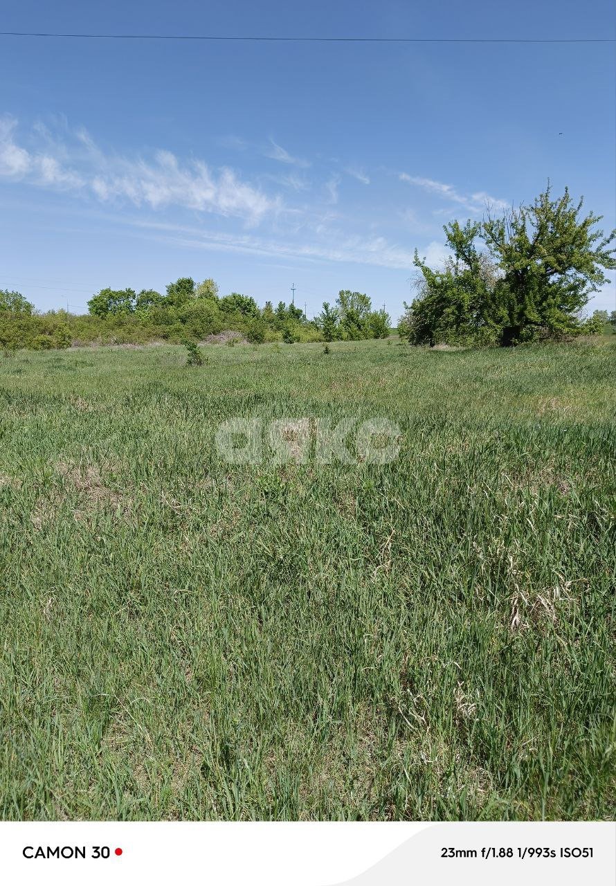 Фото №5: Земельный участок под ИЖС 65.16&nbsp;сот. - Нижняя Ольховая
