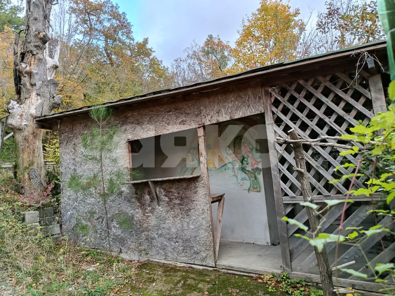 Фото №4: Участок садоводство 6&nbsp;сот. - СНТ Джанхот, ул. Кудрявцева