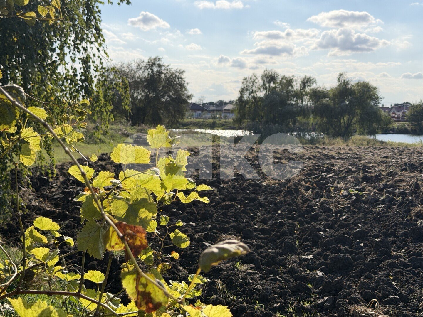 Фото №16: Земельный участок под ИЖС 15&nbsp;сот. - Кореновск, ул. Колхозная