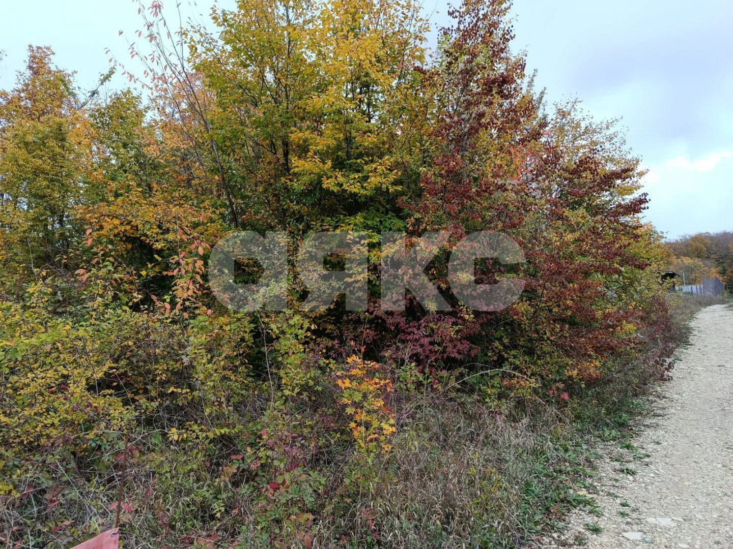Фото №3: Участок садоводство 6&nbsp;сот. - ДНТ Океан