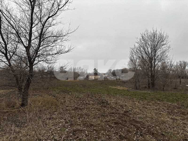 Фото №5: Коммерческая земля 50&nbsp;сот. - Бурковский