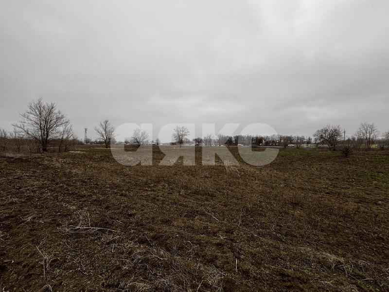 Фото №10: Коммерческая земля 50&nbsp;сот. - Бурковский