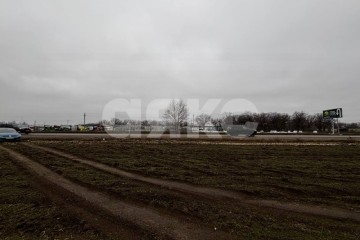 Фото №1: Коммерческая земля 50&nbsp;сот. - Бурковский, 