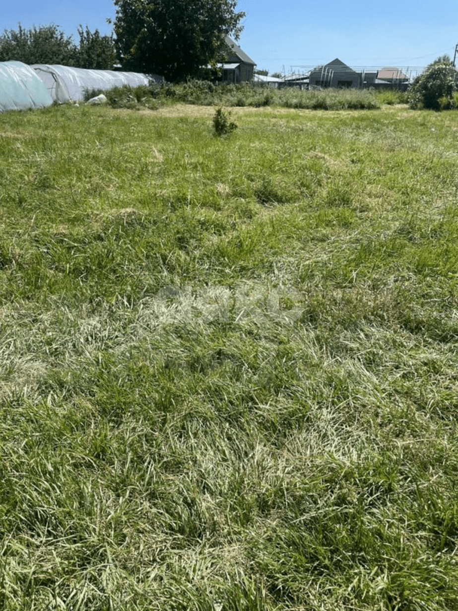 Фото №5: Личное подсобное хозяйство 7.3&nbsp;сот. - Платнировская, ул. Кубанская