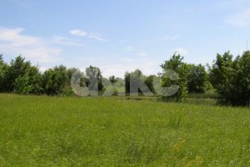 Фото №1: Земельный участок 1100&nbsp;сот. - Зубаревка, 