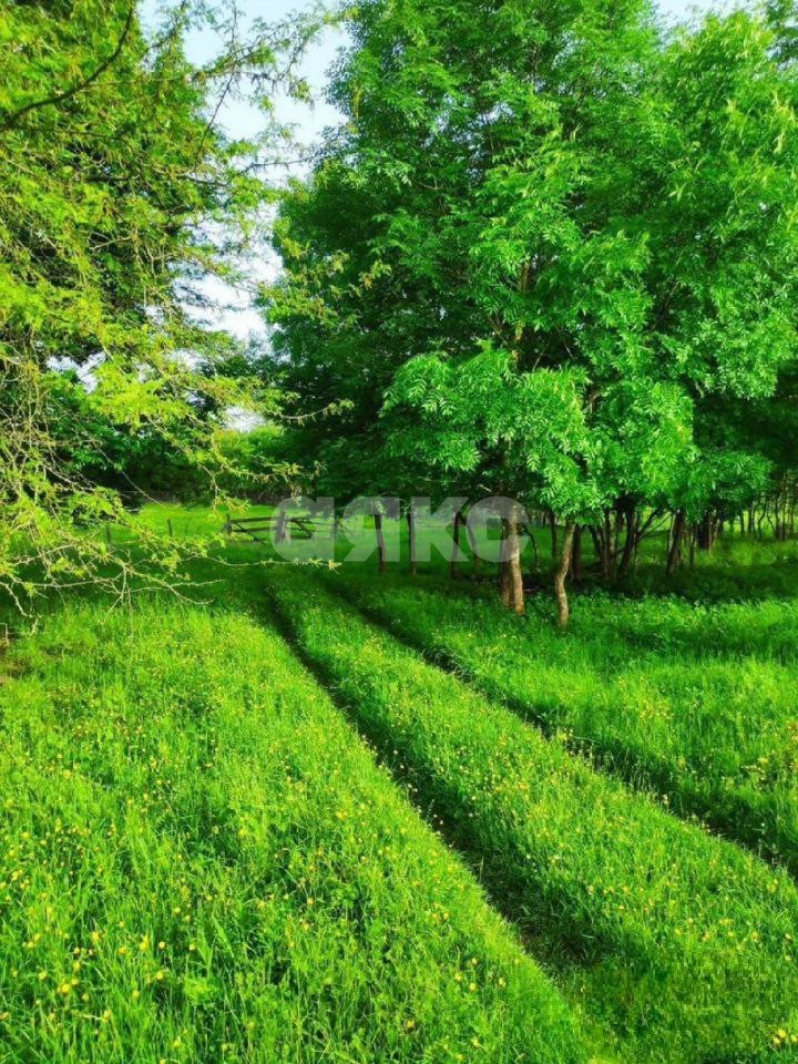 Фото №4: Личное подсобное хозяйство 25&nbsp;сот. - Мартанская, ул. Безымянная