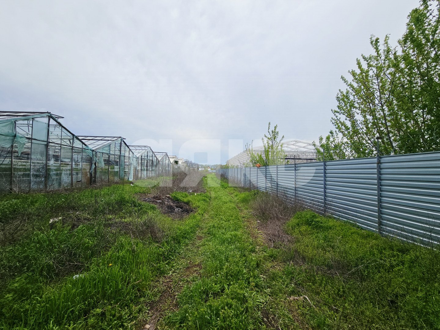Фото №8: Участок садоводство 338&nbsp;сот. - Батайск