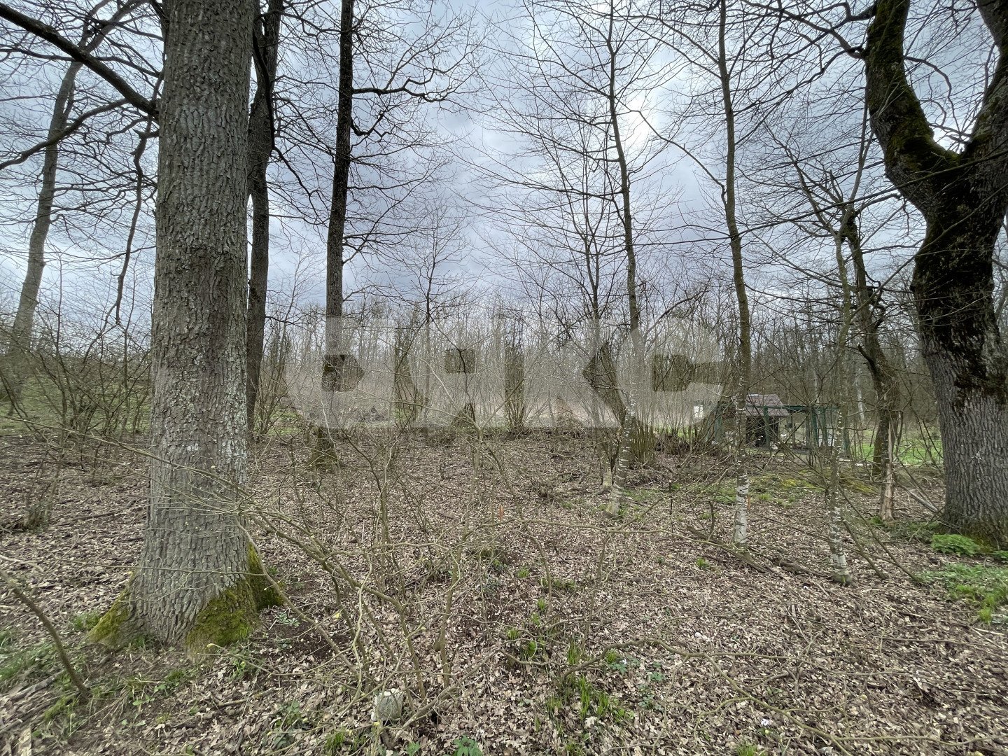 Фото №15: Дом 60&nbsp;м² + 7&nbsp;сот., 2&nbsp;эт. - Горячий Ключ, мкр. Развилка, ул. Солнечная Поляна