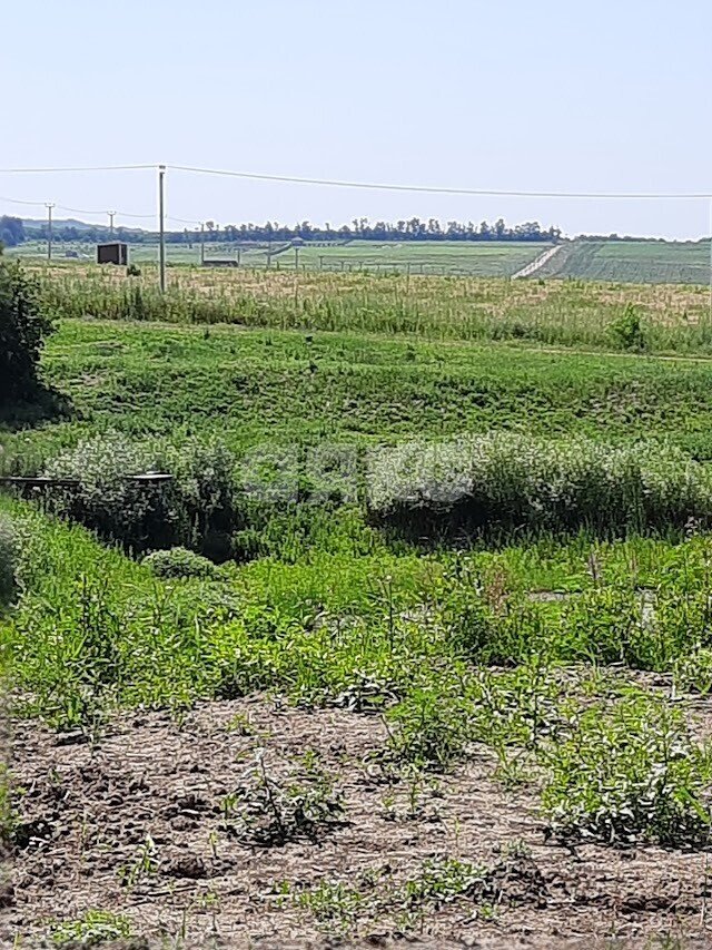 Фото №5: Участок садоводство 100&nbsp;сот. - Варениковская, ул. Красная