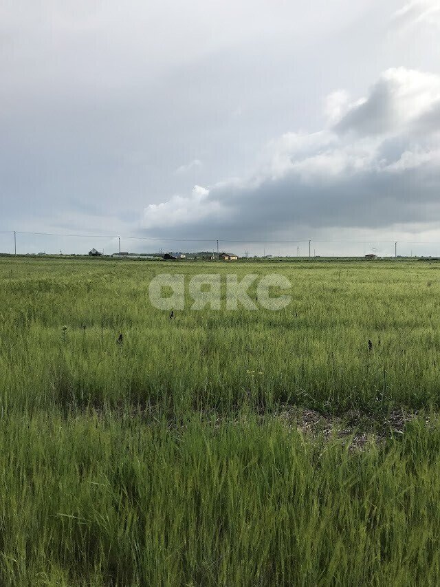 Фото №6: Участок садоводство 100&nbsp;сот. - Варениковская, ул. Красная