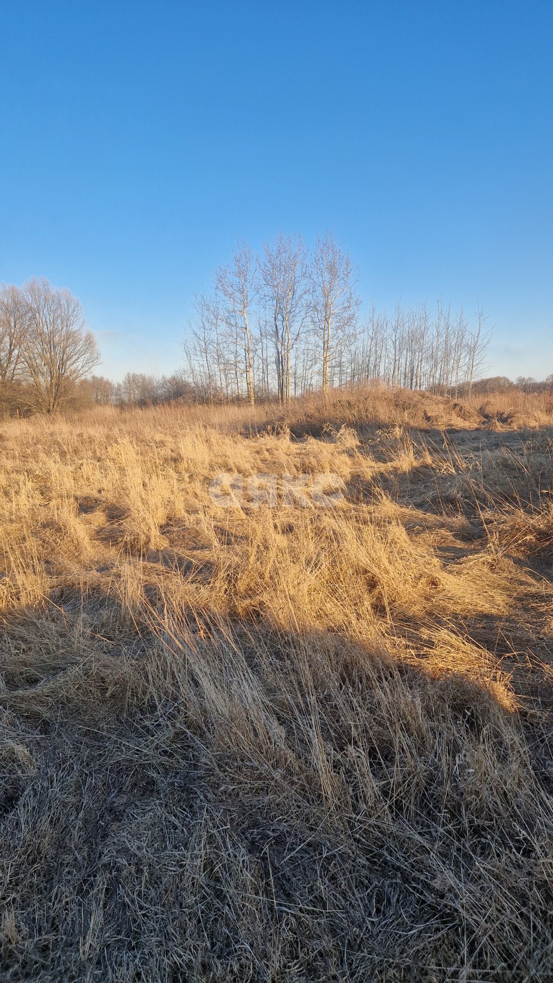 Фото №4: Личное подсобное хозяйство 6&nbsp;сот. - Косяково, ул. Озёрная