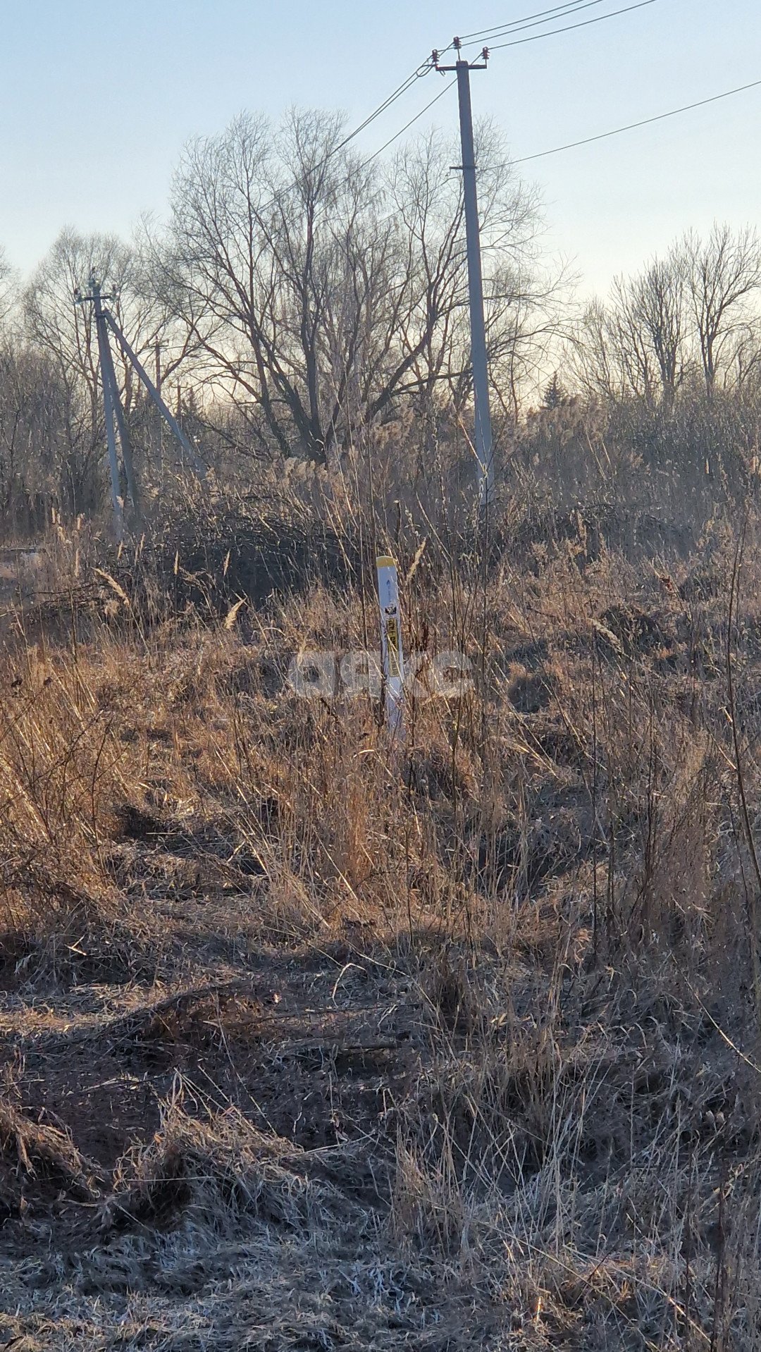 Фото №6: Личное подсобное хозяйство 6&nbsp;сот. - Косяково, ул. Озёрная