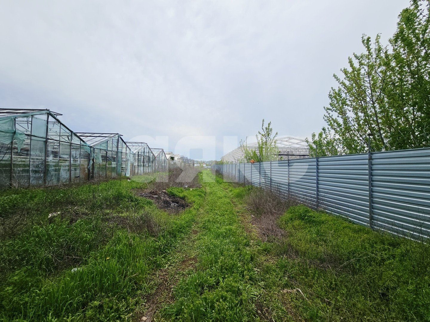 Фото №5: Готовый бизнес 22000&nbsp;м², 1/1&nbsp;эт. - Батайск, ул. Ключевая, 10
