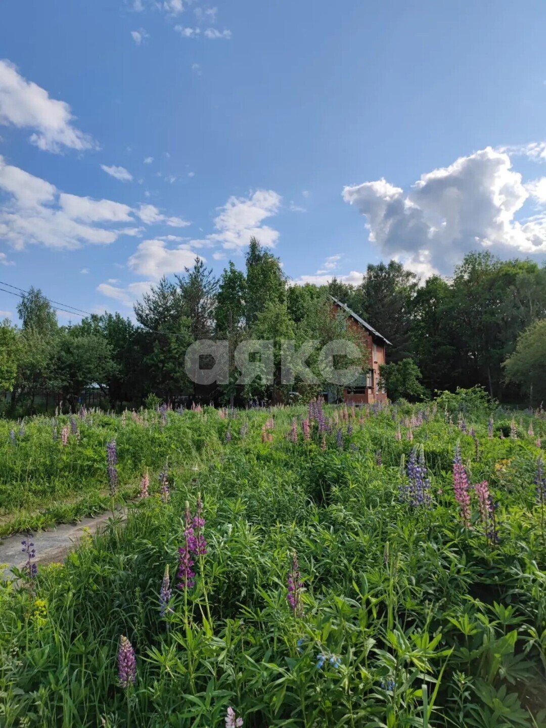 Фото №5: Дом 98&nbsp;м² + 2000&nbsp;сот., 3&nbsp;эт. - СНТ Черёмушка, мкр. Пролетарский территориальный округ, 137