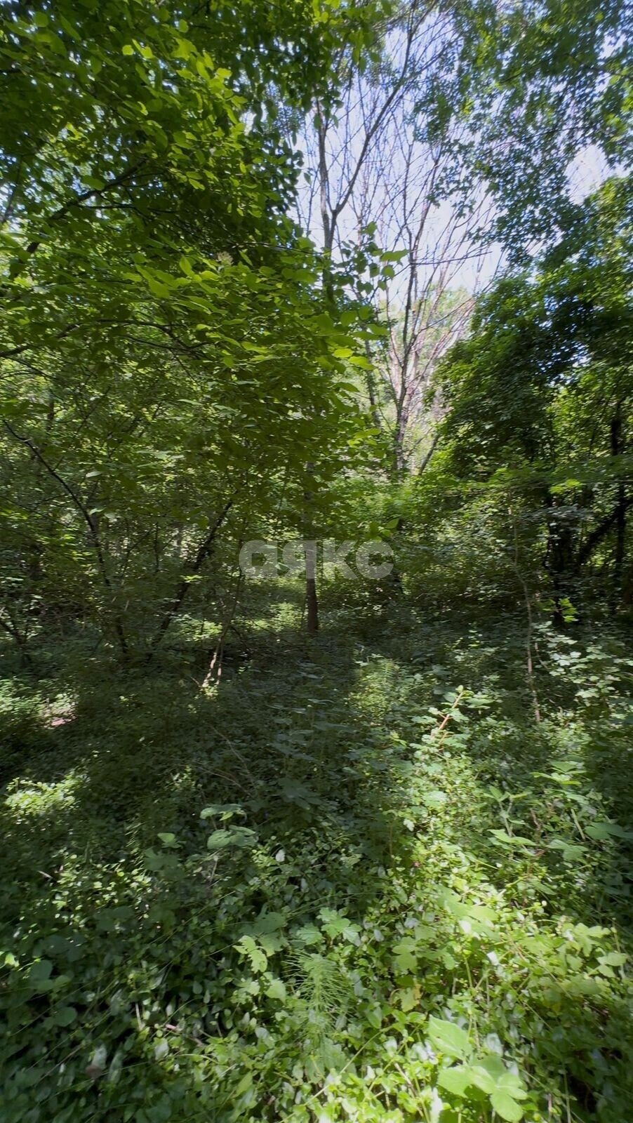 Фото №5: Земельный участок под ИЖС 26&nbsp;сот. - Вольное, ул. Лесная