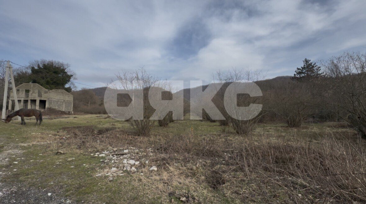 Фото №2: Личное подсобное хозяйство 34&nbsp;сот. - Агуй-Шапсуг, ул. Заречная