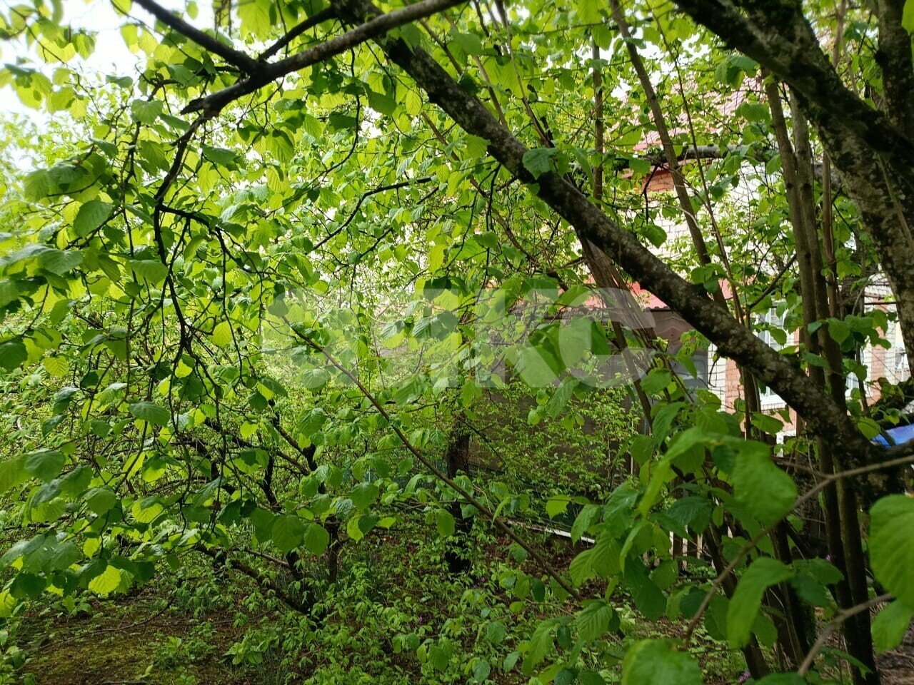 Фото №3: Участок садоводство 5.73&nbsp;сот. - Горячий Ключ, Городская Больница, мкр. СТ Кунпанова Поляна, ул. Больничная