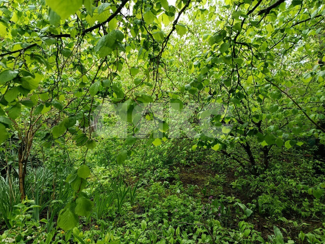 Фото №8: Участок садоводство 5.73&nbsp;сот. - Горячий Ключ, Городская Больница, мкр. СТ Кунпанова Поляна, ул. Больничная